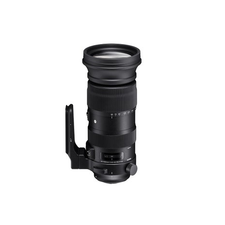 SIGMA 60-600mm F4.5-6.3 DG OS HSM | Sports SIGMA 60-600mm F4.5-6.3 DG OS HSM | Sports