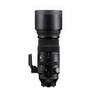 SIGMA 150-600mm F5-6.3 DG DN OS | Sports