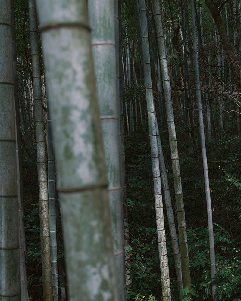 De schoonheid van immaterieel cultureel erfgoed — Jiangnan-vakmanschap door een 35mm-perspectief 